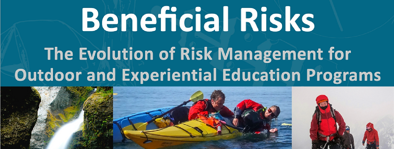 Beneficial Risks: a book review